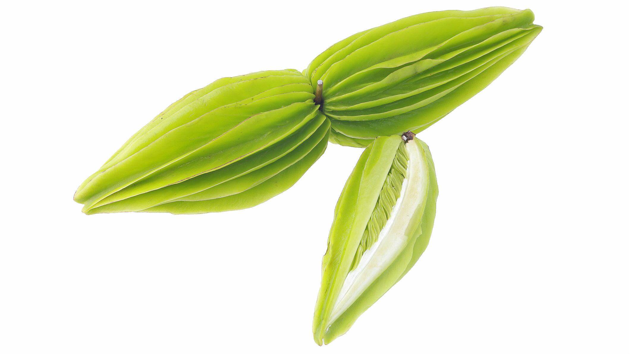 天然甜味剂新发现:云南民族植物比蔗糖甜至少25倍