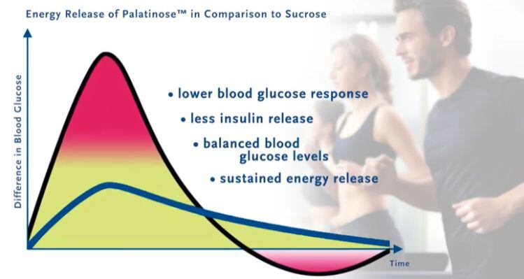 palatinose-benefits.jpg
