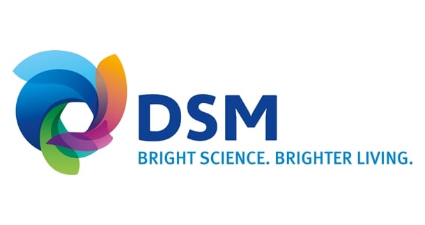 DSM.jpg