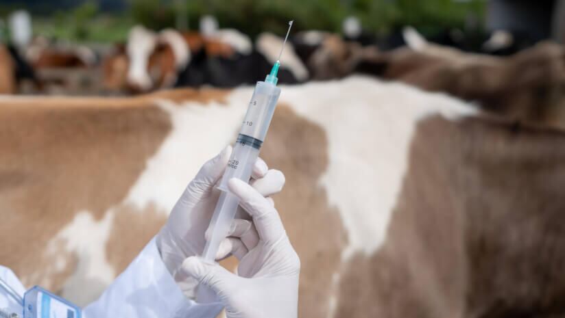 Antibiotics-3.jpg