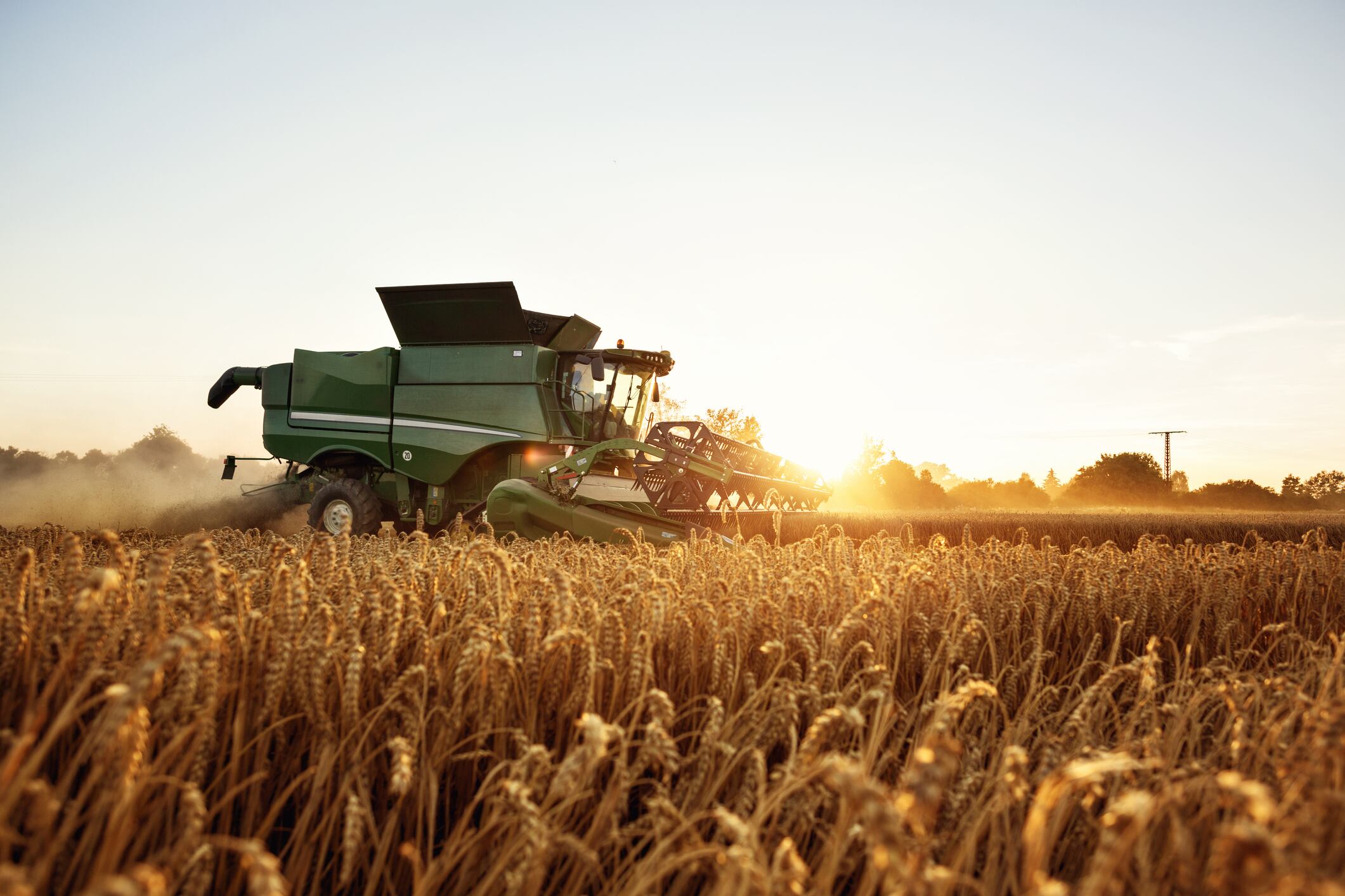 Wheat-harvest-C-Getty-Images-photoschmidt.jpg