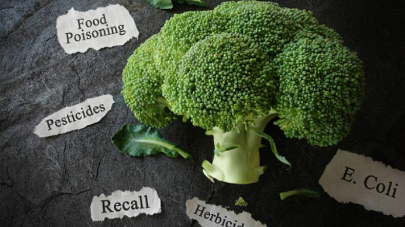 Food recalls in the spotlight: New Zealand regulator considering moves to strengthen safety systems