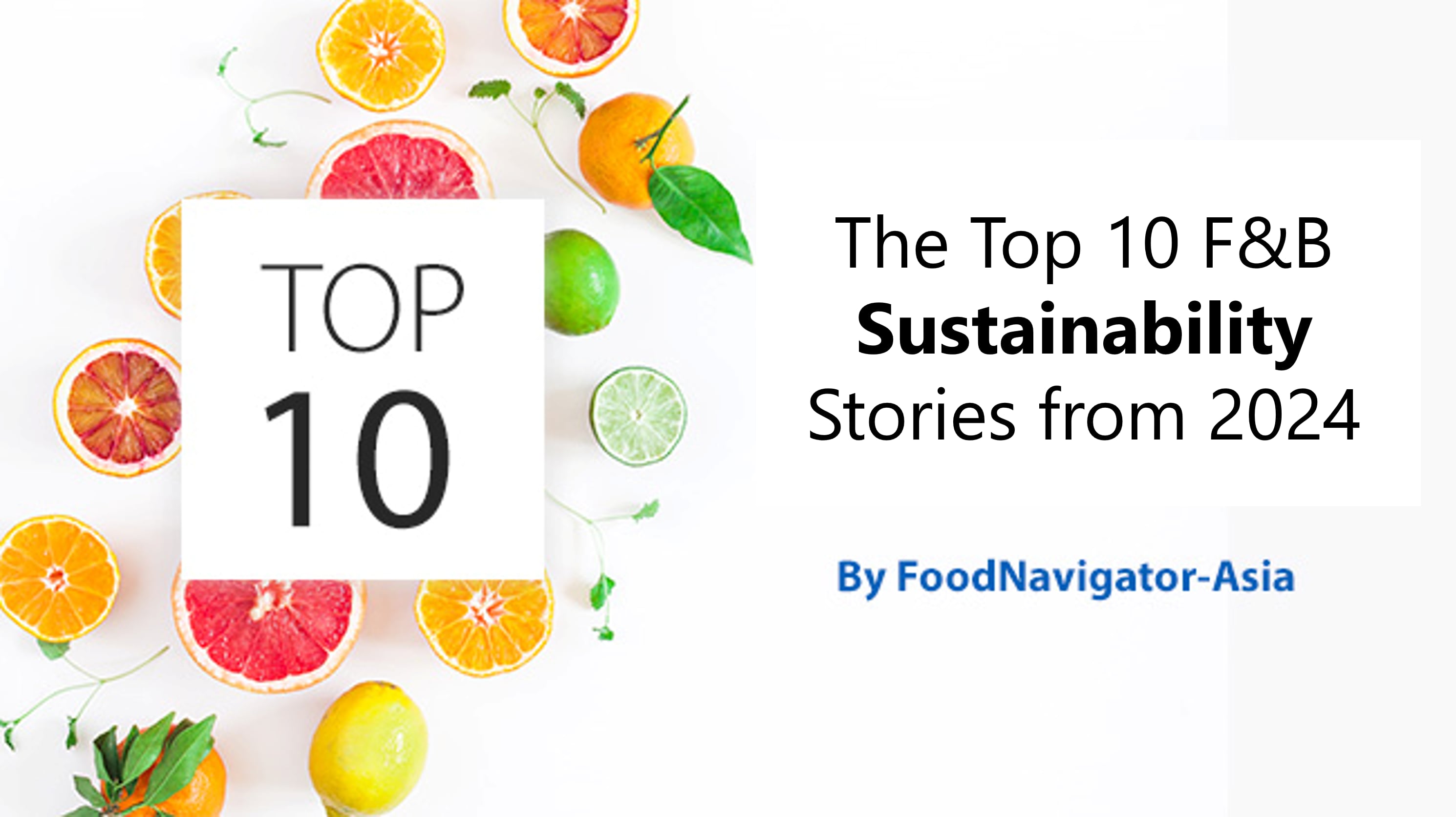 Top 10 Sustainability