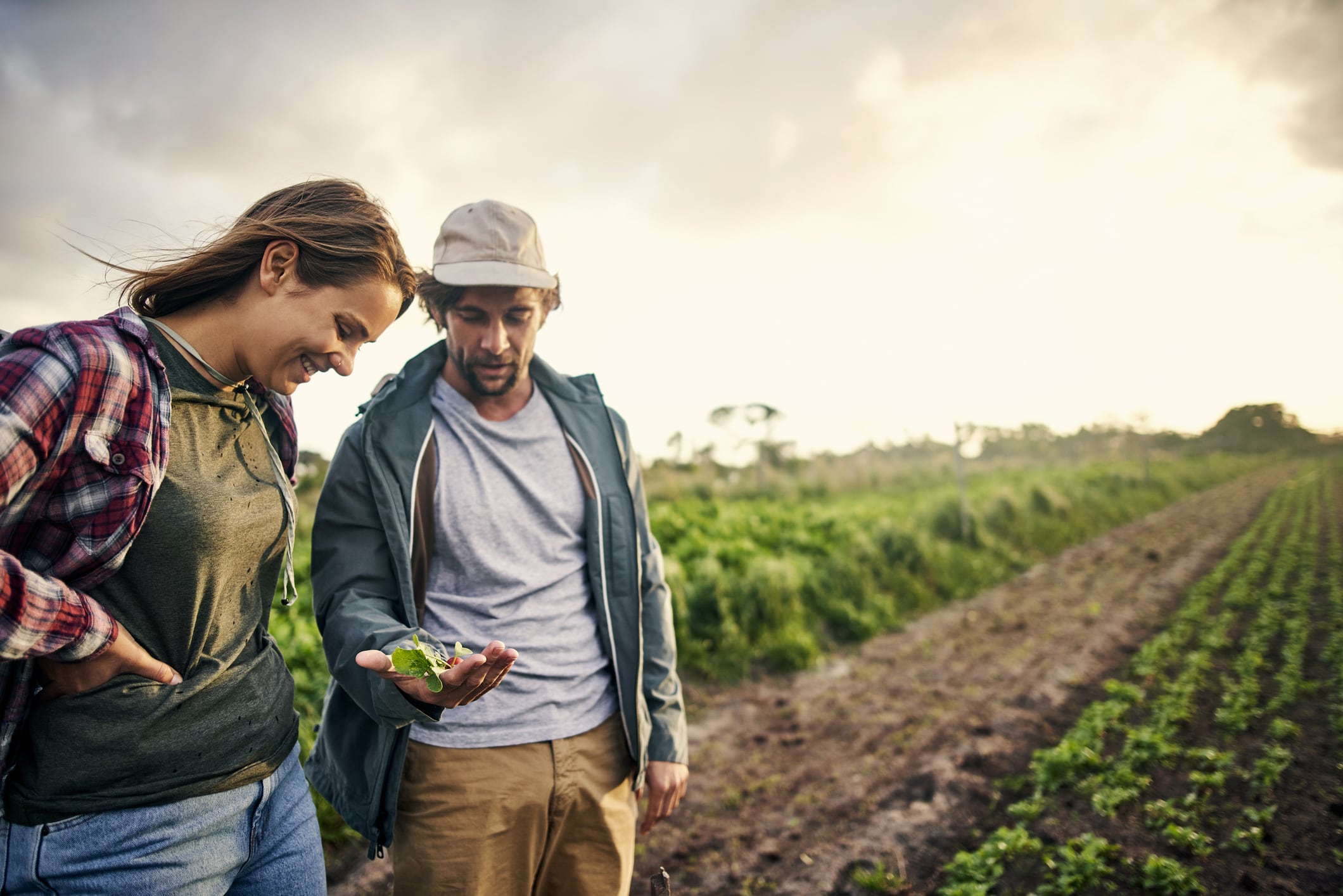 ‘Good for industry, good for policy’: Large scale study to assess benefits of ‘NZ diet’ on key health outcomes