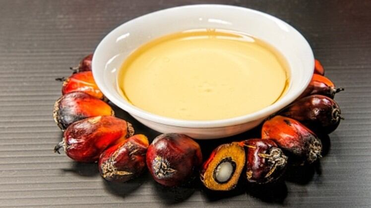Palm oil 4