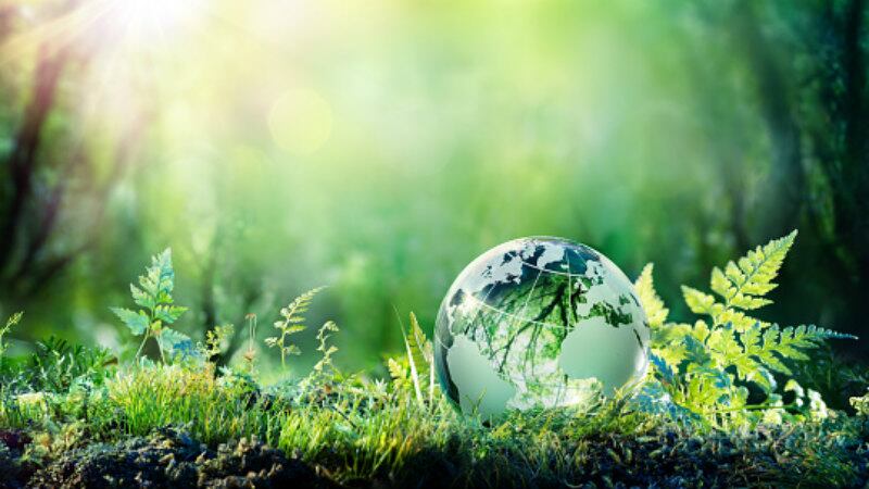 Sustainability claims: Cargill highlights rising importance of sustainable palm oil on the back of Malaysian investment