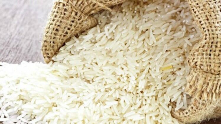 Zinc rice fortification: Indian officials reject academic recommendations in favour of other health policies 