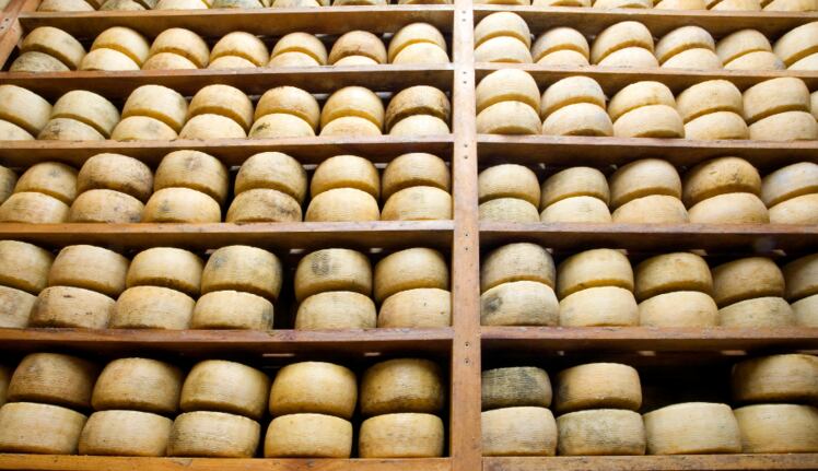 China-Focus-Cheese-imports-e-commerce-local-plant-based-investments-and-more-feature-in-our-round-up.png