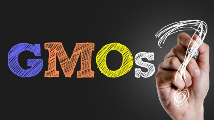 Biosafety governance: Thailand’s GMO regulation draft to cover full spectrum of plant, microorganism and animal products