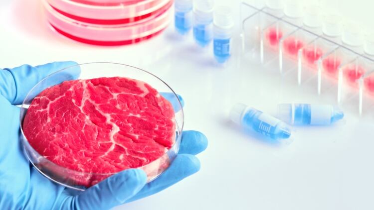 Cultivated meat concerns: Cost, health impact and religious factors raised by Singaporeans
