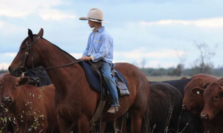 New abattoir to create 80 jobs