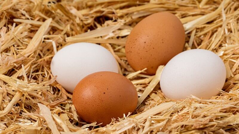 Hard-boiled commitment: China cage-free eggs movement gains traction with major government and industry backing