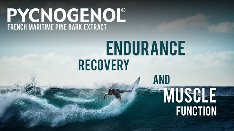 Pycnogenol-R-for-Sport-eNOS-and-Beyond.jpg