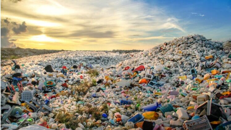 Safety vs sustainability: Increasing use of single-use food packaging due to COVID-19 – but is it truly safer?