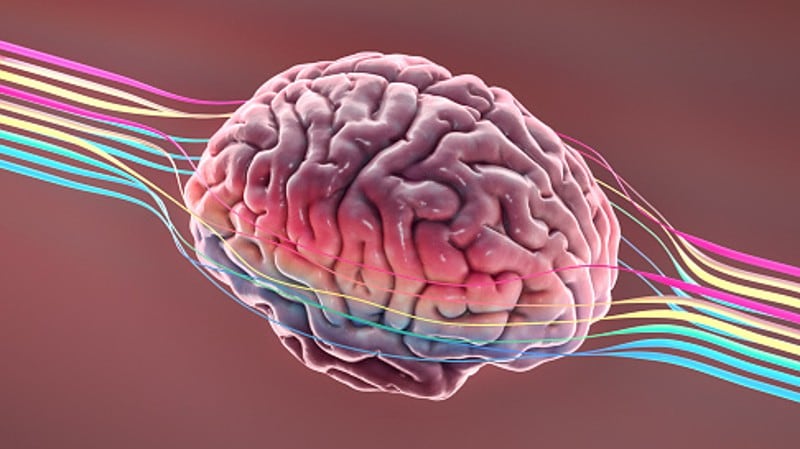 Huge-mental-health-scope-for-new-studies-on-synergistic-impact-of-ingredients.jpg