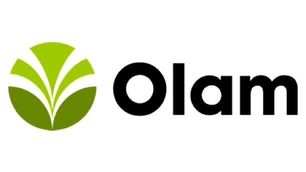 Olam.jpg