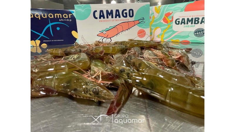 Shrimp producer Grupo Aquamar aims to strengthen brand awareness in Singapore, Hong Kong while extending presence in Asia