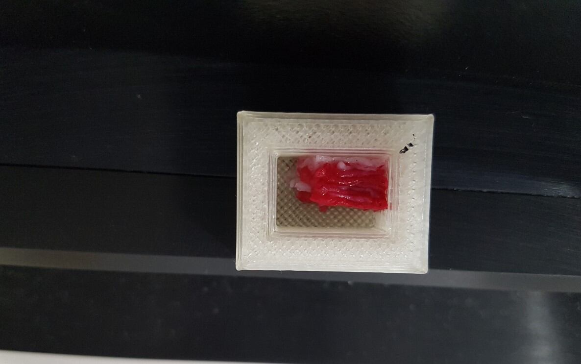 1.5cmの3Dプリントされたステーキは900ドル：バイオプリンティング技術で和牛のような構造を構築