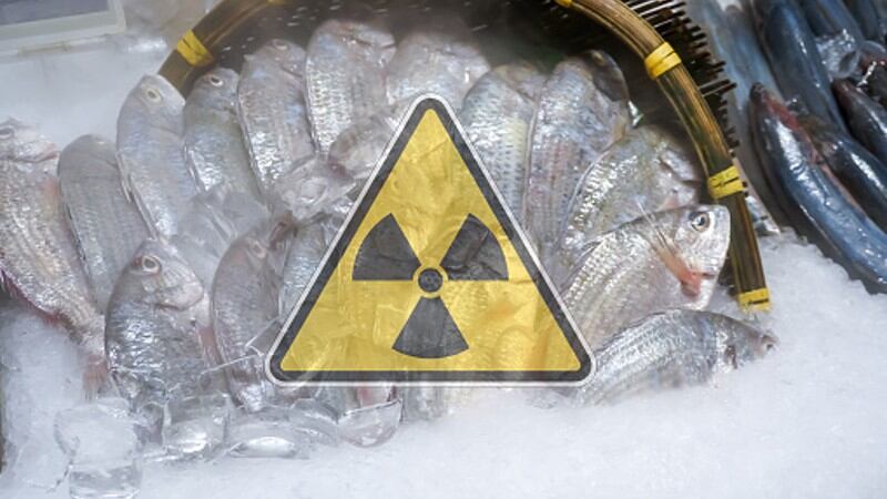 Nuclear termination? Japan declares it time to lift ‘all restrictions’ on Fukushima-affected food exports - government report
