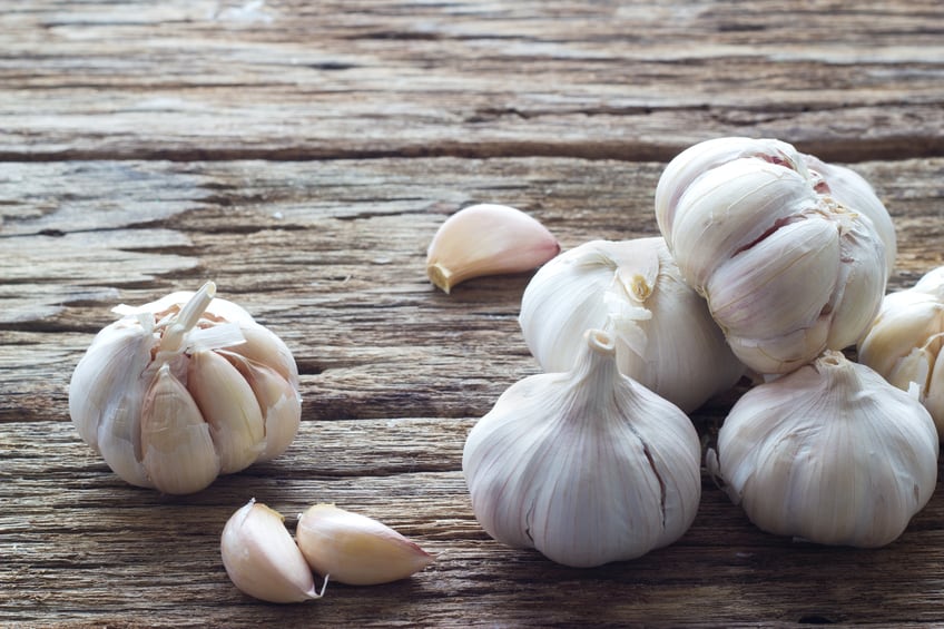 garlic-botanical-iStock-ipopba.jpg