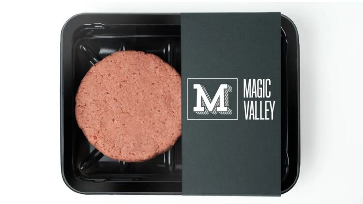 Australia-cultivated-meat-firm-Magic-Valley-details-2024-plans-as-regulatory-approval-nears.jpg