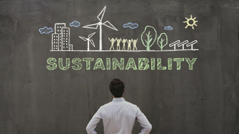 Sustainability Snippets: Impacts of sustainability concerns on the edible insect, seafood and palm oil sectors feature in our round-up