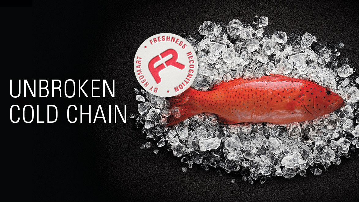 ‘Unbroken cold chain’: How Redmart keeps food deliveries fresh without traditional cold chain…in the heat of Singapore