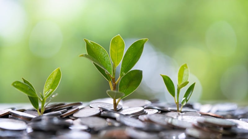 More than a buzzword: Net zero sustainability commitments must make business sense for food firms – expert panel