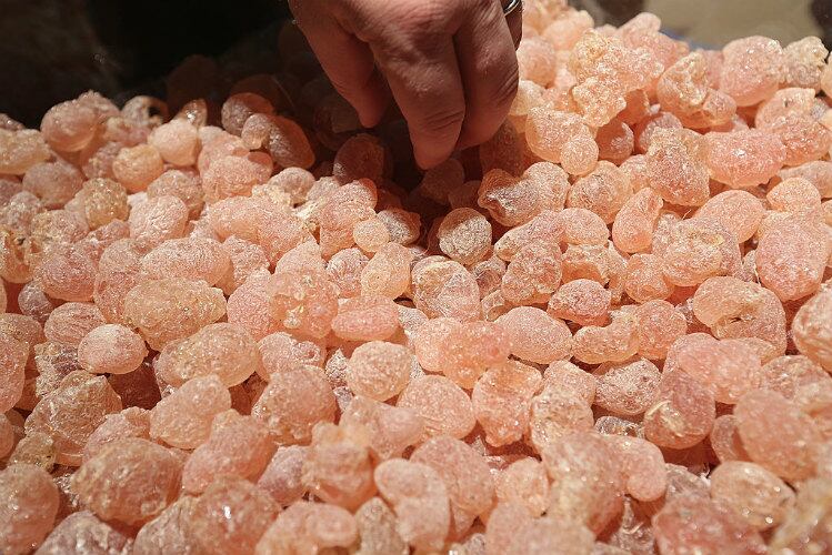 French acacia gum supplier broadens reach in India with Sayaji partnership