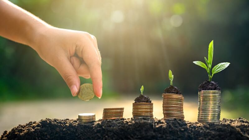 Cultivating future stars: No funding shortages for food tech and alternative protein start-ups despite COVID-19