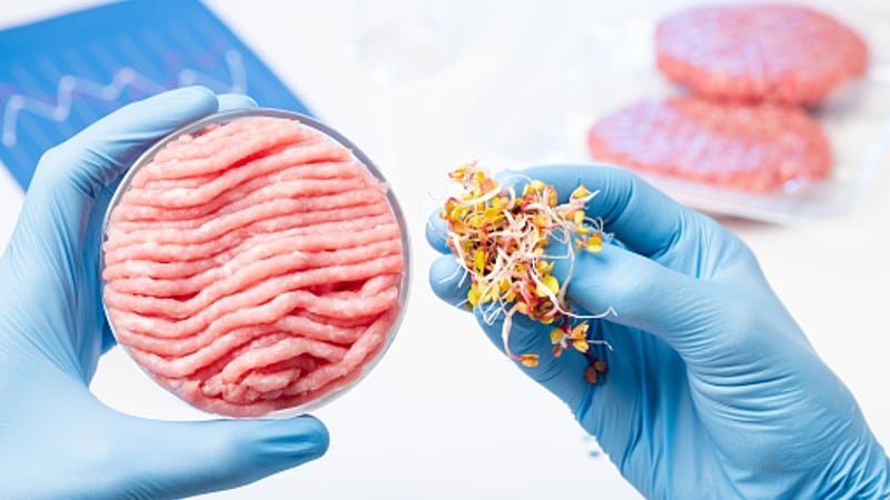 ‘Winning strategy’: Why hybrid meat / plant protein products can help overcome taste and texture challenges
