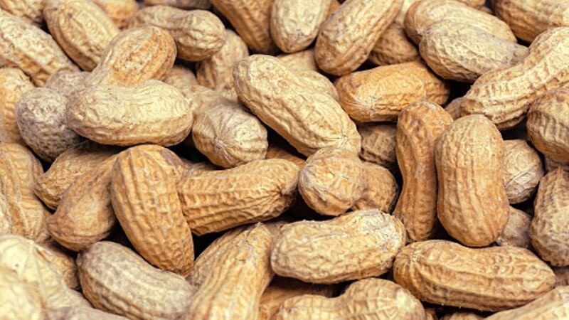 Peanut plant-based innovation: China’s Haofood says versatility, affordability and clean label are major draws