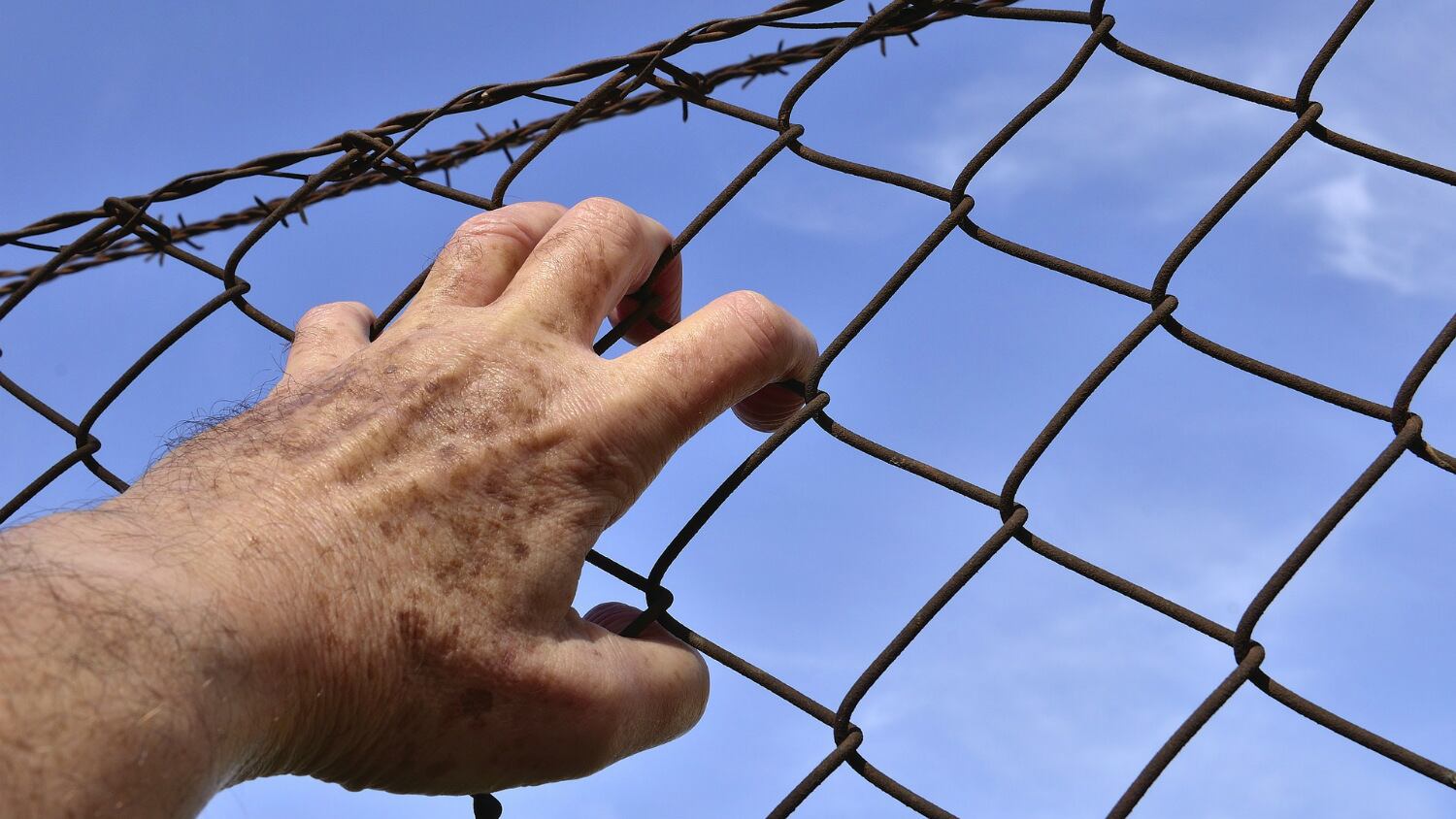 Policy Picks: Life imprisonment for food adulteration in India, Australian plant-based product labelling restrictions and more