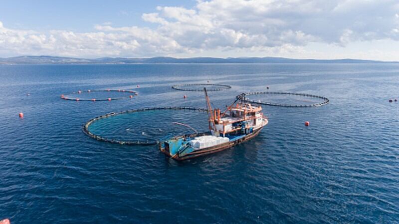Thai-Union-on-how-it-hopes-to-raise-credibility-of-sustainability-initiatives.jpg