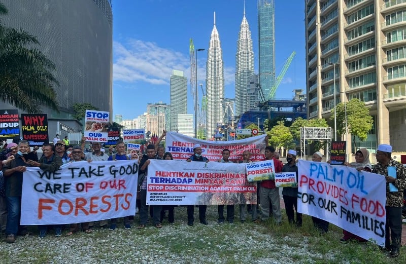 Not in good conscience: Malaysia government and agricultural leaders condemn ‘highly demeaning’ EU deforestation regulation 