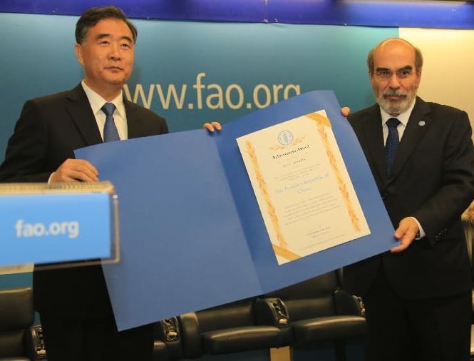 FAO.jpg
