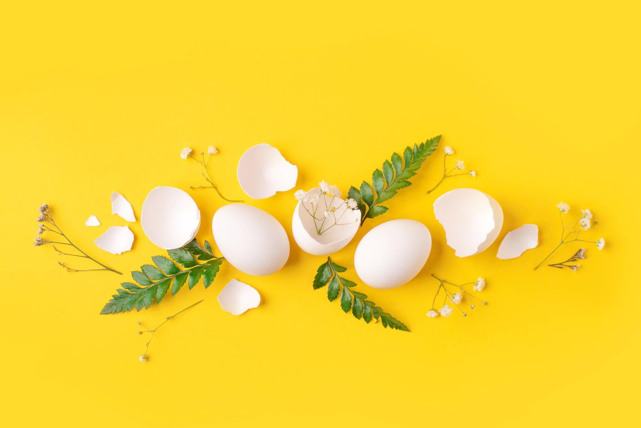 Beyond its functional benefits for skin and joints, the egg symbolises renewal and creation – concepts reflected in beauty-from-within approaches.