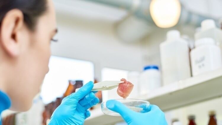 Science Shorts: World-first cell-based research centre, new science-based drink, wagyu beef research and more feature in our round-up