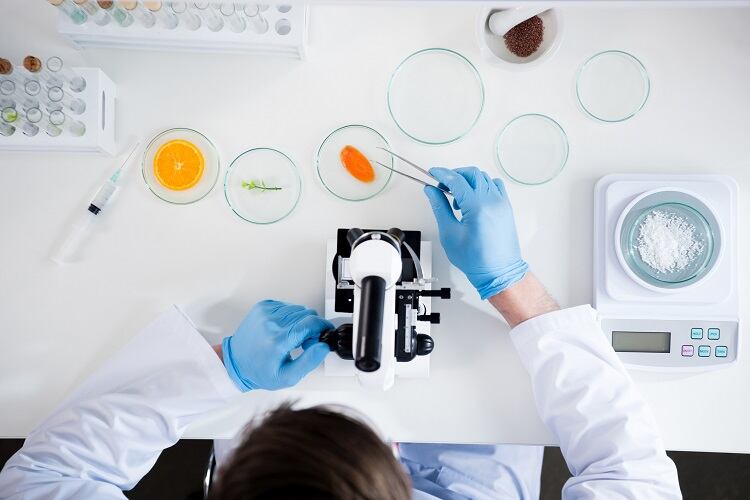 From kosher shellfish to ‘enabling’ ingredients: What is Israel looking for in food tech?