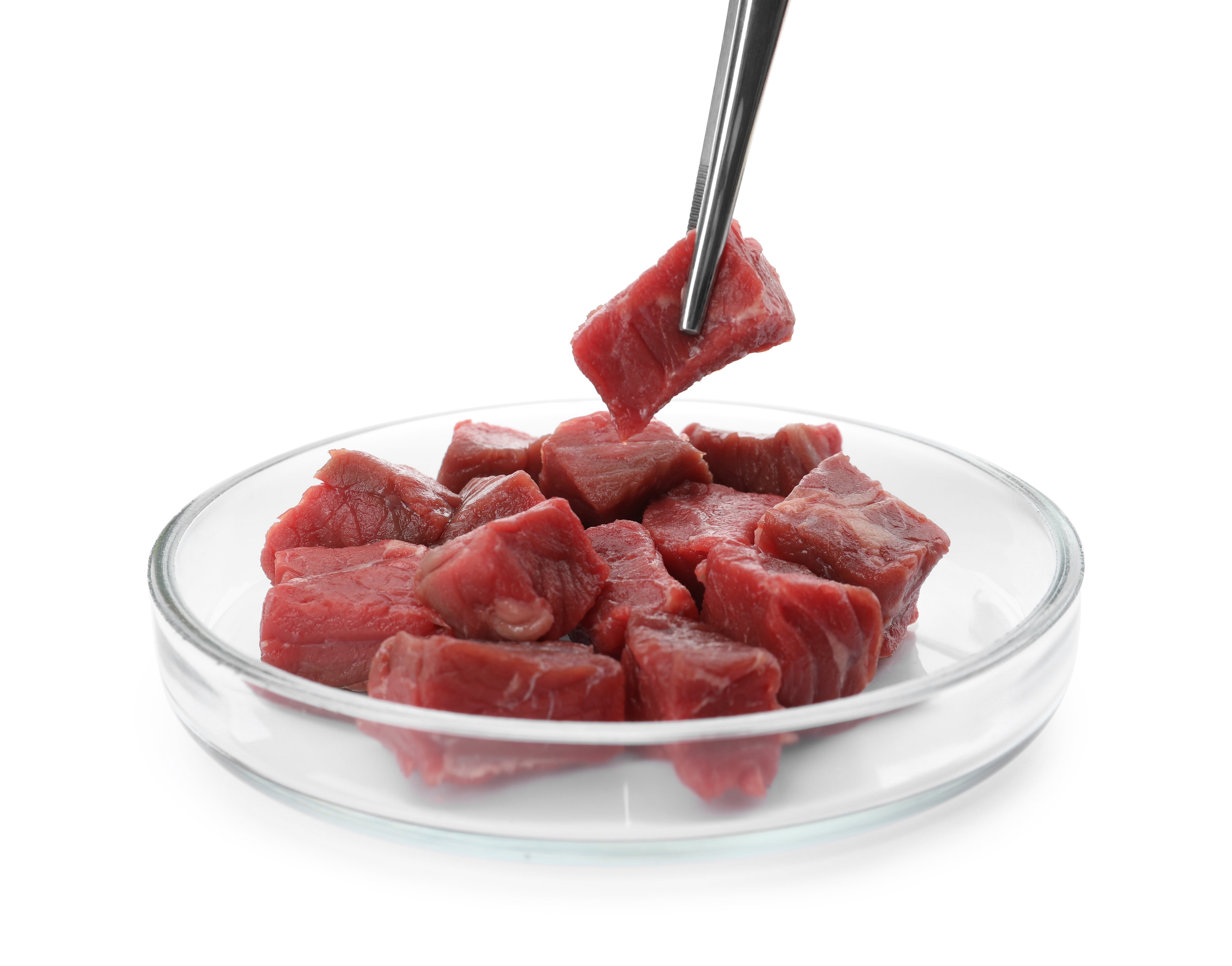 ‘Alt product, not alt protein’: Meatable eyes global stage beyond Betagro investment