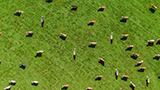 Collaborative, Sustainable and Scalable Innovation Thrives Despite Pandemic