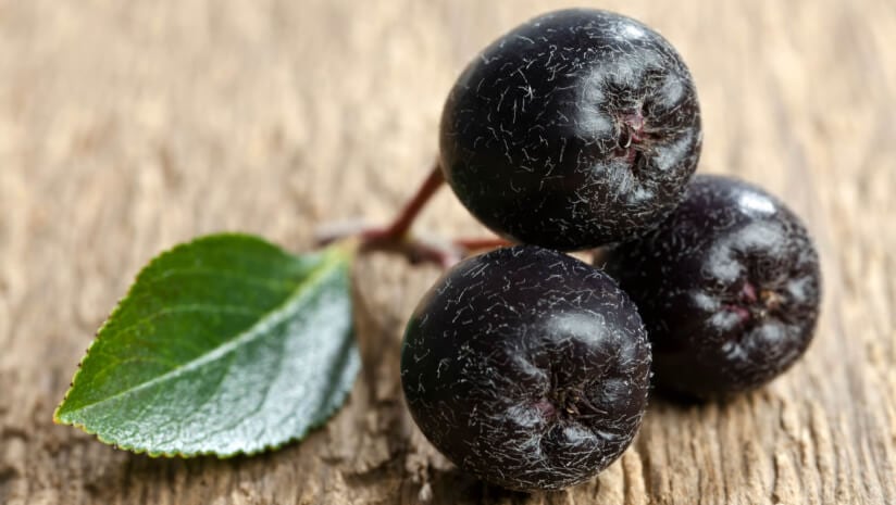 Fruity strategy: Polish government eyes South East Asia as next major export market for apples and aronia berries