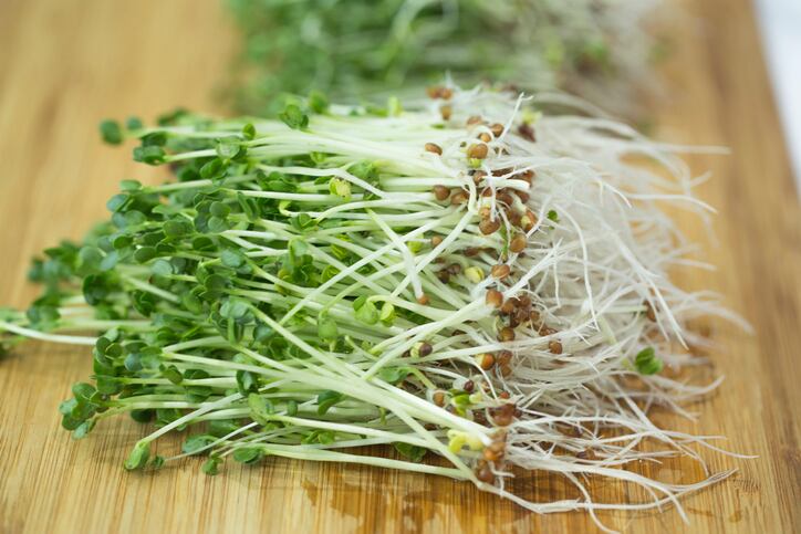 Sleep and sprout: Broccoli extract increases melatonin in Japanese adults experiencing poor sleep - Trial