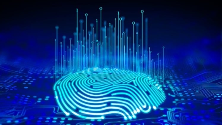 Food fingerprinting future: ProfilePrint targets global food standards provider role after industry heavyweight support