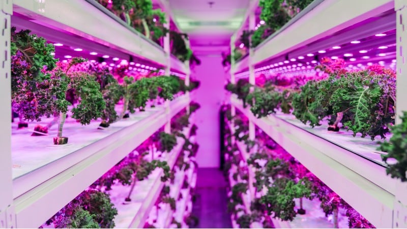 Advancing agritech: Sustenir makes foray into precision agriculture with GABA gains
