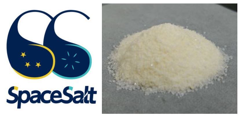 Space Salt離陸:クリーンミート革命はどのように宇宙飛行士の食糧支援となっているか