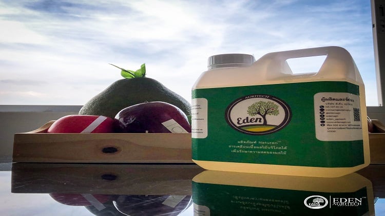 WATCH: Thai shelf-life extending solution wins start-up award at Thaifex