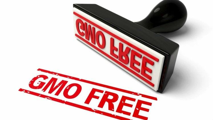 FSSAI initiates framing of GM food regulations after trace ingredients found in products