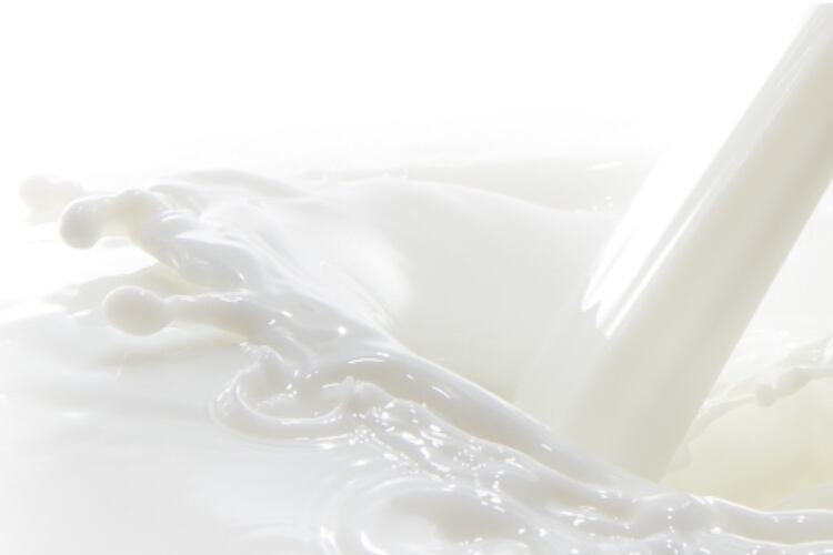 Synlait sets 2019/20 forecast milk price