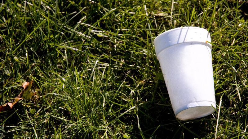 Abu-Dhabi-to-ban-single-use-Styrofoam-products-from-June-1.jpg